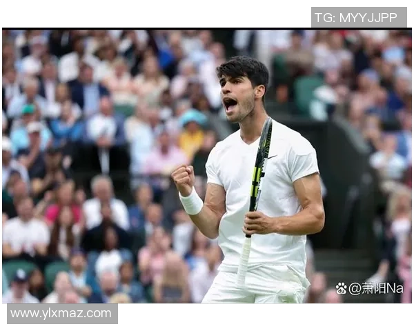 费德勒与佩拉的精彩对决:网球场上的巅峰对抗与技术较量